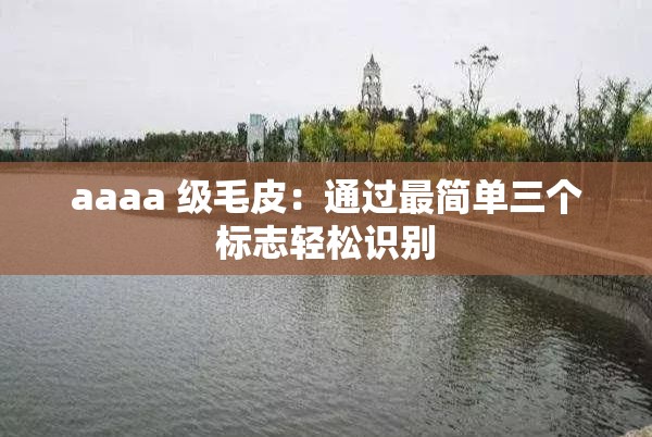 aaaa 级毛皮：通过最简单三个标志轻松识别