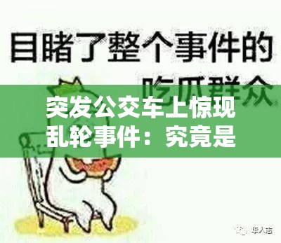 突发公交车上惊现乱轮事件：究竟是道德的缺失还是人性的沦丧？