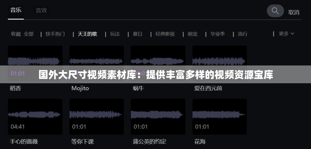 国外大尺寸视频素材库：提供丰富多样的视频资源宝库