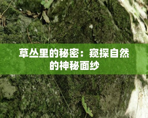 草丛里的秘密：窥探自然的神秘面纱
