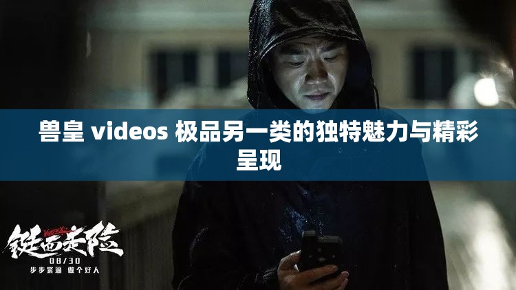 兽皇 videos 极品另一类的独特魅力与精彩呈现