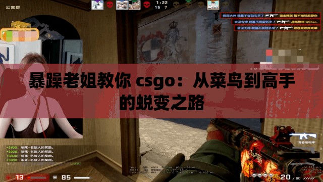 暴躁老姐教你 csgo：从菜鸟到高手的蜕变之路