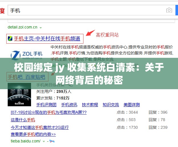 校园绑定 jy 收集系统白清素：关于网络背后的秘密