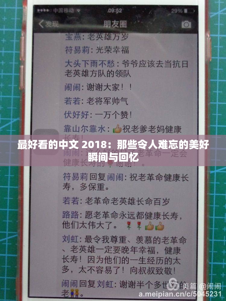最好看的中文 2018：那些令人难忘的美好瞬间与回忆