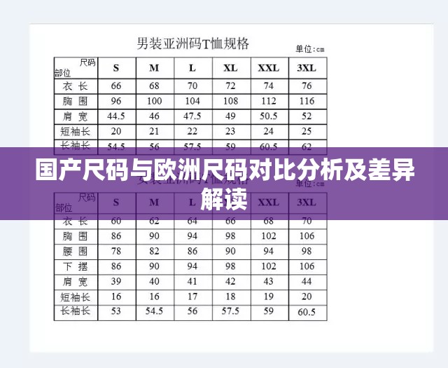 国产尺码与欧洲尺码对比分析及差异解读