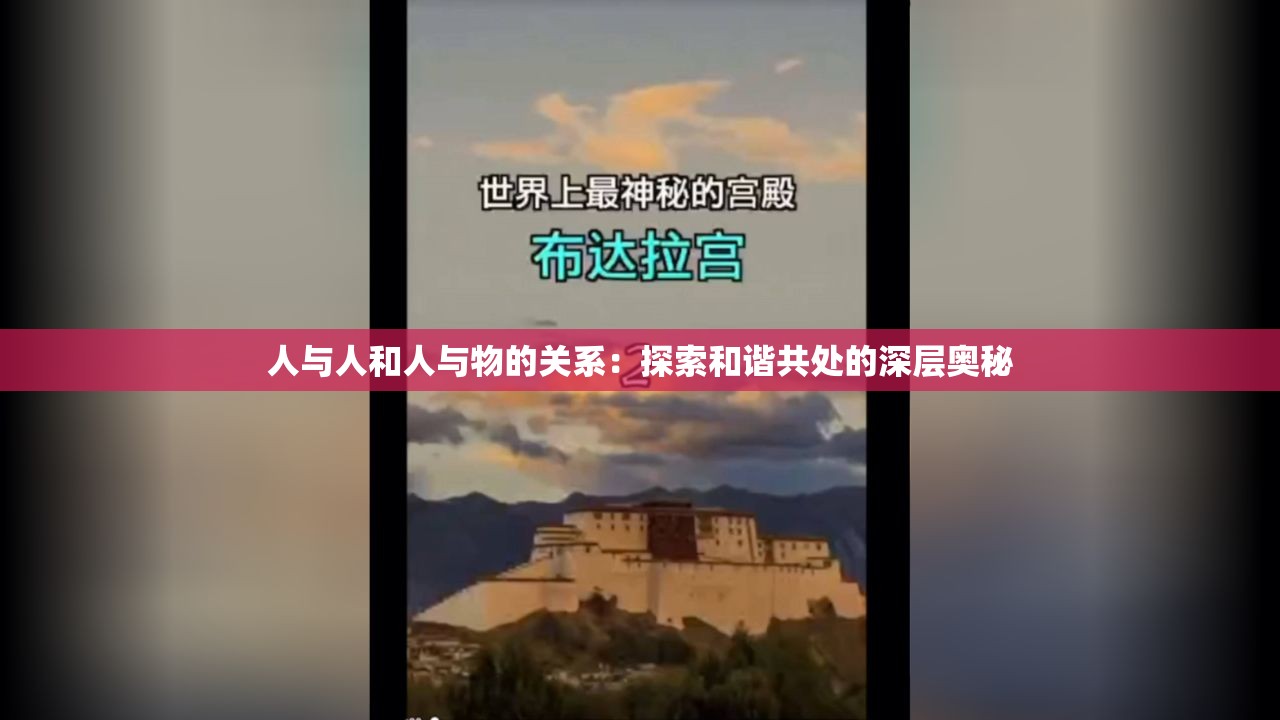 人与人和人与物的关系：探索和谐共处的深层奥秘