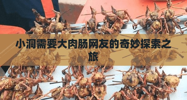 小洞需要大肉肠网友的奇妙探索之旅