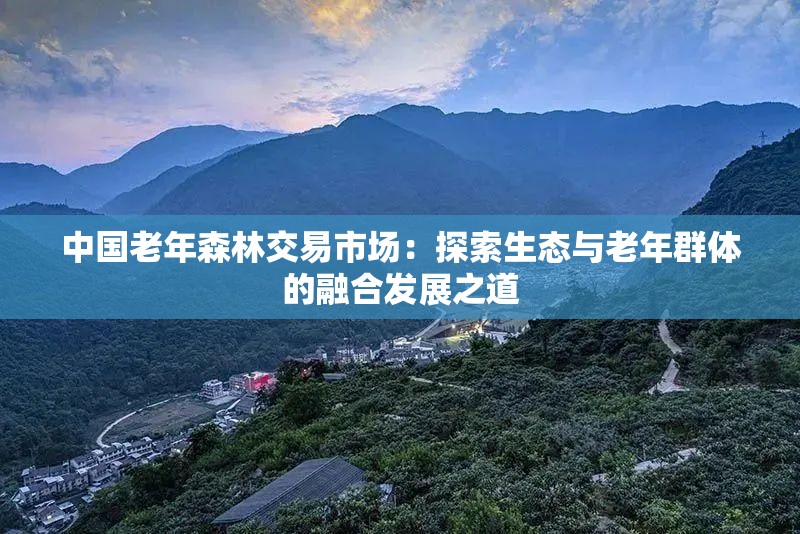 中国老年森林交易市场：探索生态与老年群体的融合发展之道