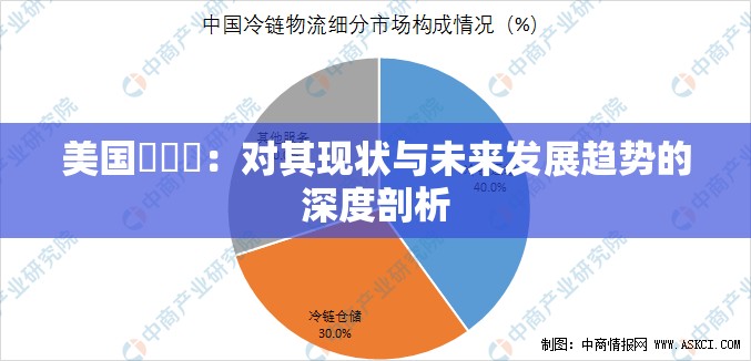 美国乂乂乂：对其现状与未来发展趋势的深度剖析