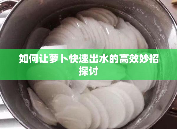 如何让萝卜快速出水的高效妙招探讨