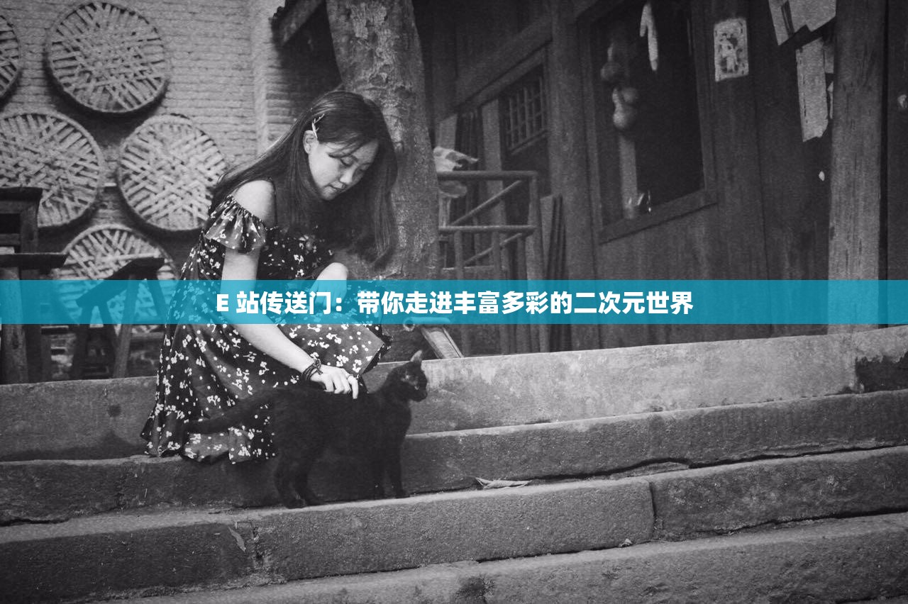 E 站传送门：带你走进丰富多彩的二次元世界