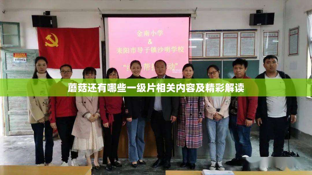 蘑菇还有哪些一级片相关内容及精彩解读