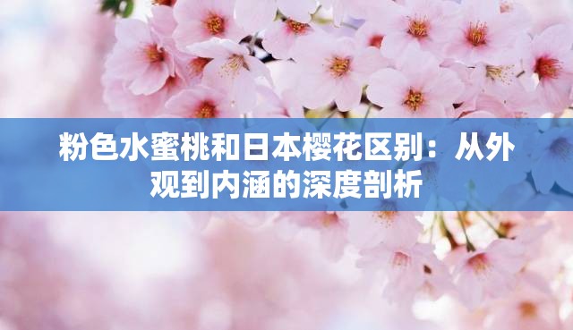 粉色水蜜桃和日本樱花区别：从外观到内涵的深度剖析