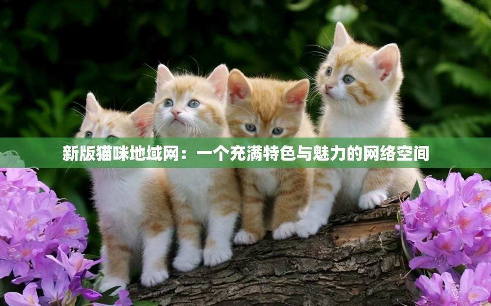 新版猫咪地域网：一个充满特色与魅力的网络空间