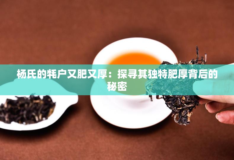 杨氏的牦户又肥又厚：探寻其独特肥厚背后的秘密