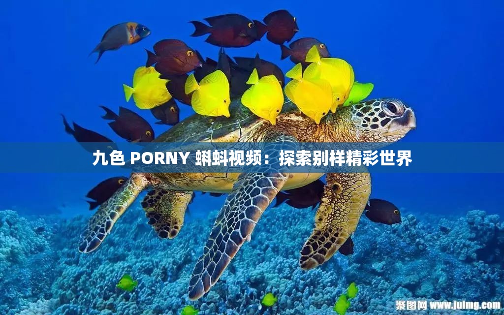 九色 PORNY 蝌蚪视频：探索别样精彩世界