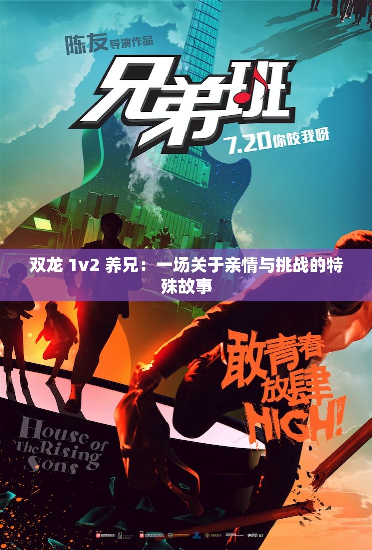 双龙 1v2 养兄：一场关于亲情与挑战的特殊故事