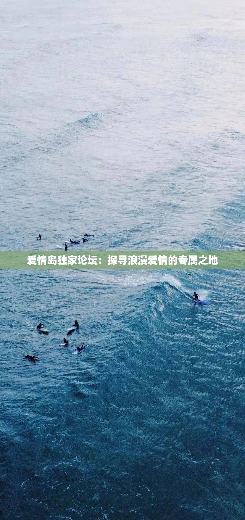 爱情岛独家论坛：探寻浪漫爱情的专属之地
