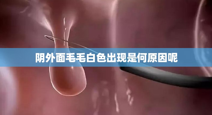 阴外面毛毛白色出现是何原因呢