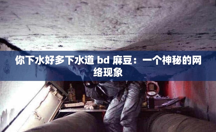 你下水好多下水道 bd 麻豆：一个神秘的网络现象