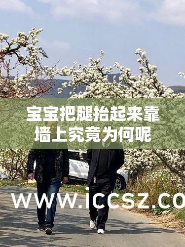 宝宝把腿抬起来靠墙上究竟为何呢