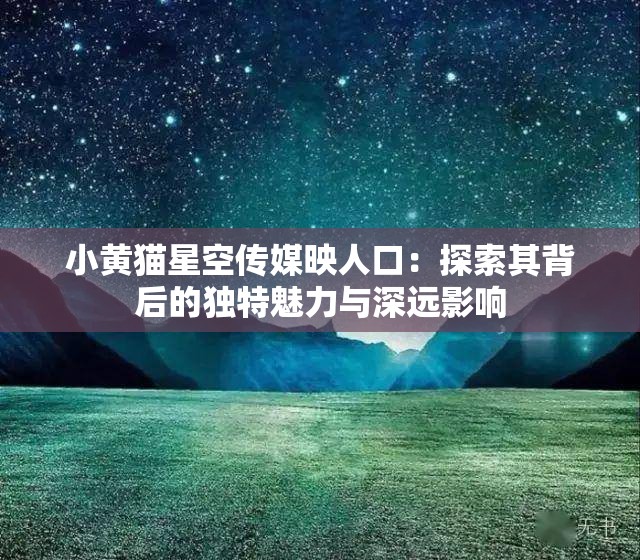 小黄猫星空传媒映人口：探索其背后的独特魅力与深远影响