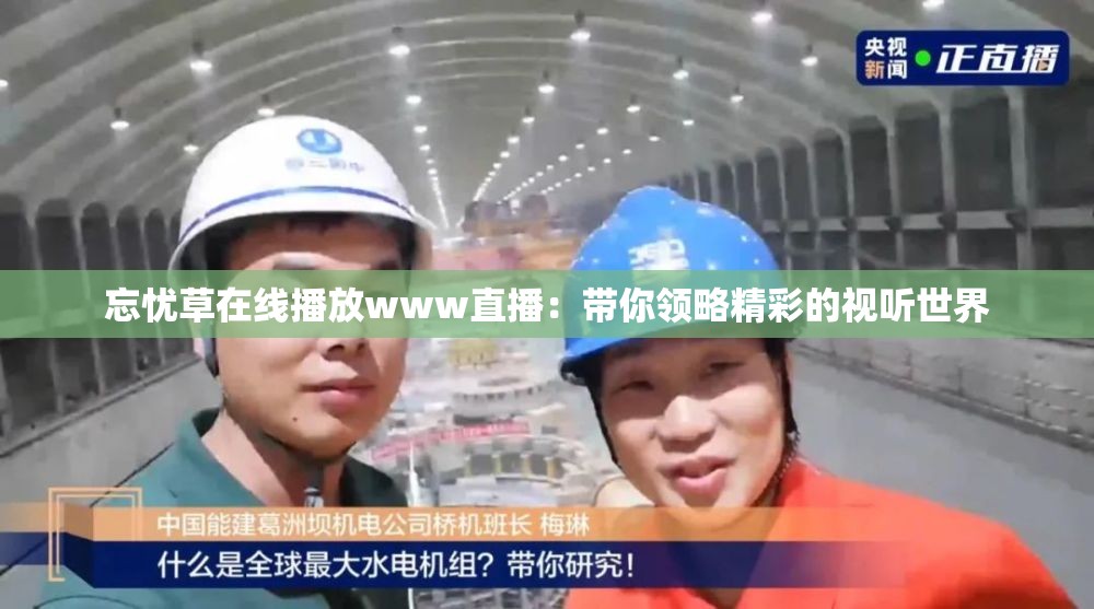 忘忧草在线播放www直播：带你领略精彩的视听世界