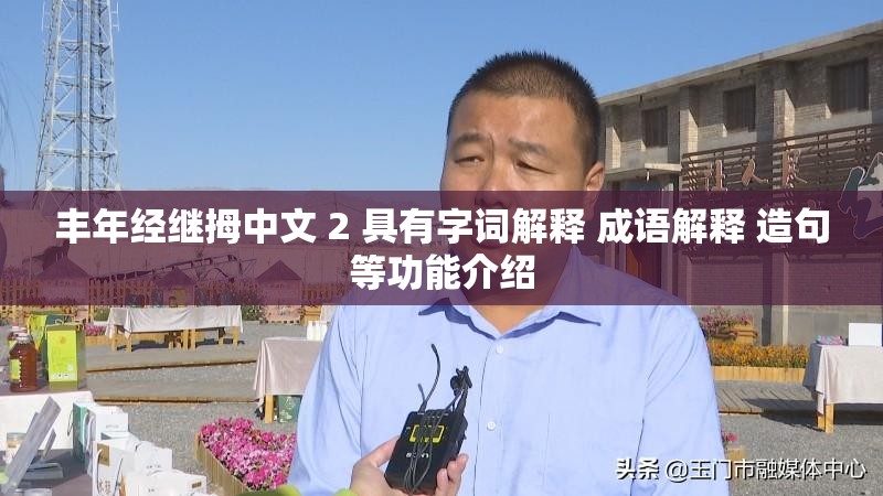 丰年经继拇中文 2 具有字词解释 成语解释 造句等功能介绍