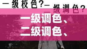 一级调色、二级调色、三级调色：色彩艺术的进阶之旅