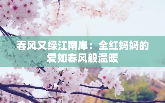 春风又绿江南岸：全红妈妈的爱如春风般温暖