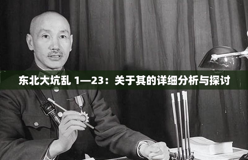 东北大坑乱 1—23：关于其的详细分析与探讨