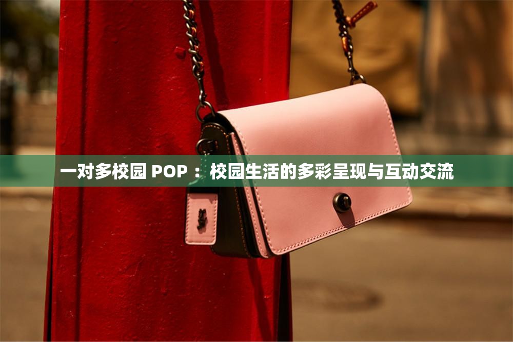 一对多校园 POP ：校园生活的多彩呈现与互动交流