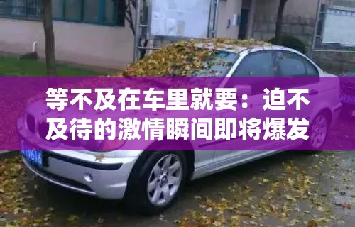 等不及在车里就要：迫不及待的激情瞬间即将爆发