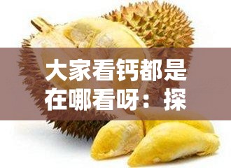大家看钙都是在哪看呀：探索钙元素的观察途径