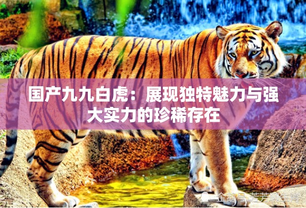 国产九九白虎：展现独特魅力与强大实力的珍稀存在