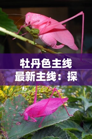 牡丹色主线最新主线：探索绚丽色彩背后的神秘故事