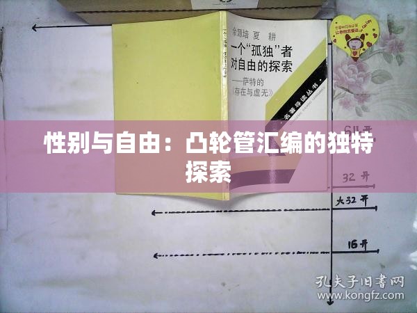 性别与自由：凸轮管汇编的独特探索