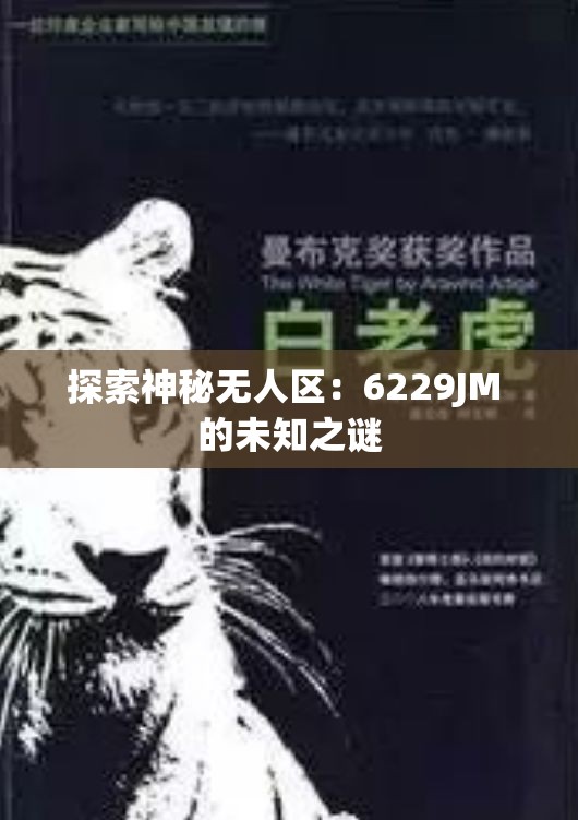 探索神秘无人区：6229JM 的未知之谜