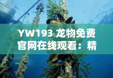 YW193 龙物免费官网在线观看：精彩内容不容错过