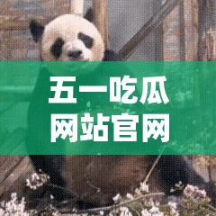 五一吃瓜网站官网入口：精彩内容等你发现