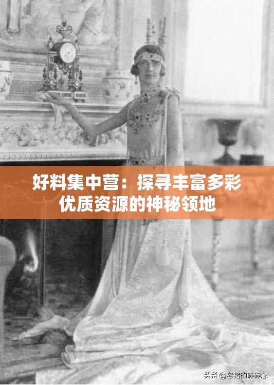 好料集中营：探寻丰富多彩优质资源的神秘领地