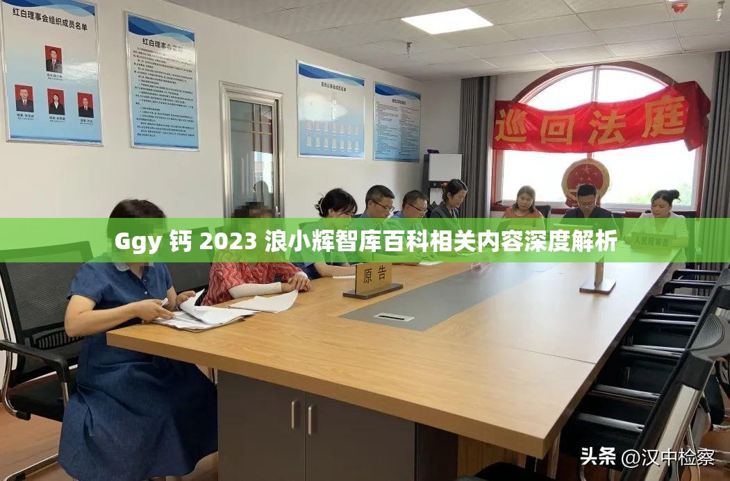 Ggy 钙 2023 浪小辉智库百科相关内容深度解析