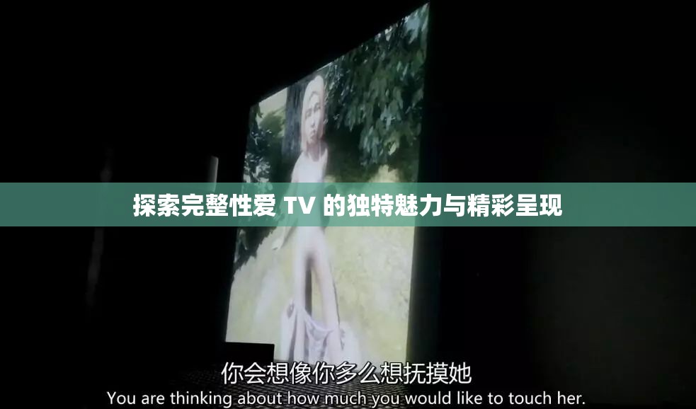 探索完整性爱 TV 的独特魅力与精彩呈现