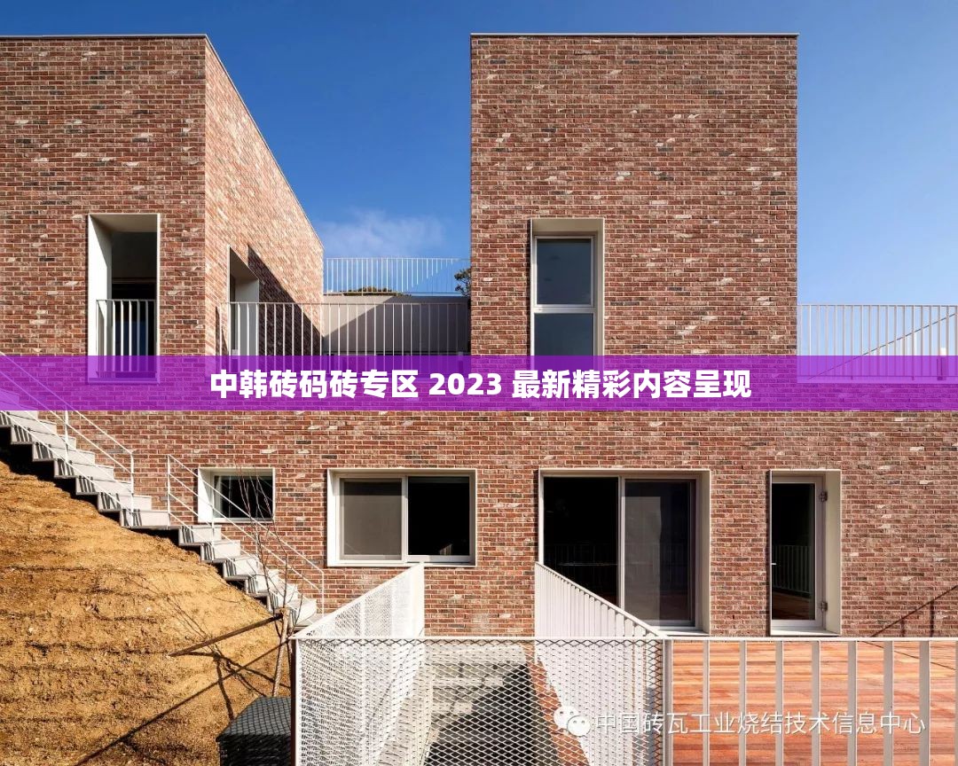 中韩砖码砖专区 2023 最新精彩内容呈现