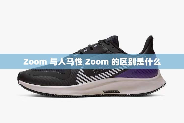 Zoom 与人马性 Zoom 的区别是什么