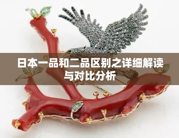日本一品和二品区别之详细解读与对比分析