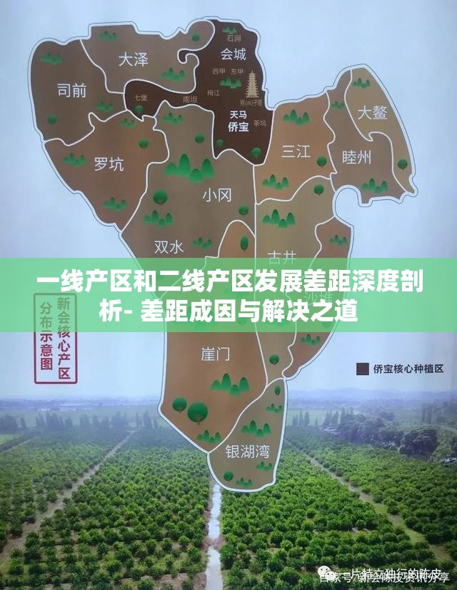 一线产区和二线产区发展差距深度剖析- 差距成因与解决之道