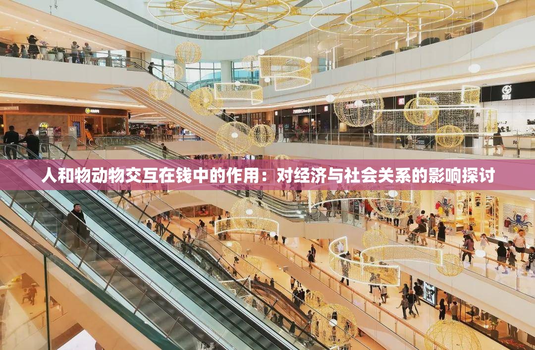 人和物动物交互在钱中的作用：对经济与社会关系的影响探讨