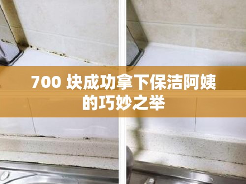 700 块成功拿下保洁阿姨的巧妙之举