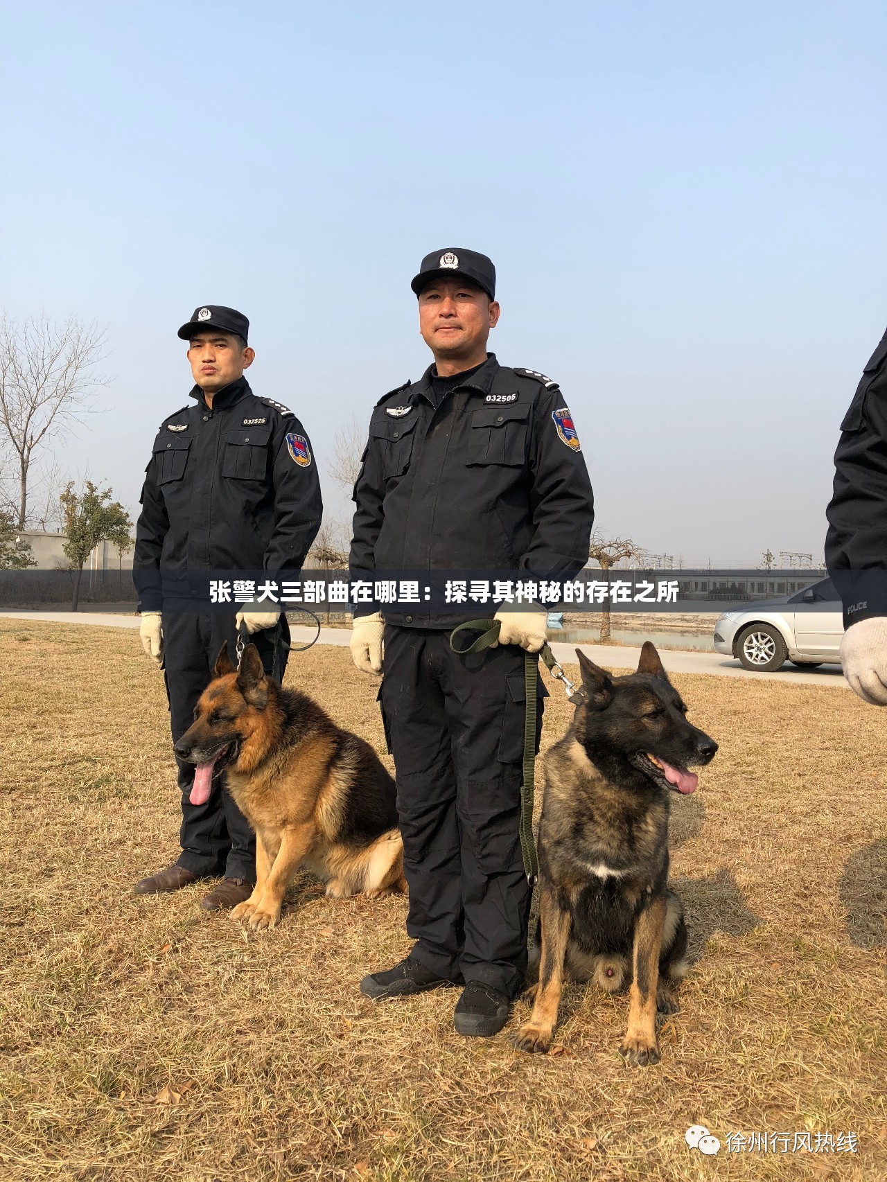 张警犬三部曲在哪里：探寻其神秘的存在之所